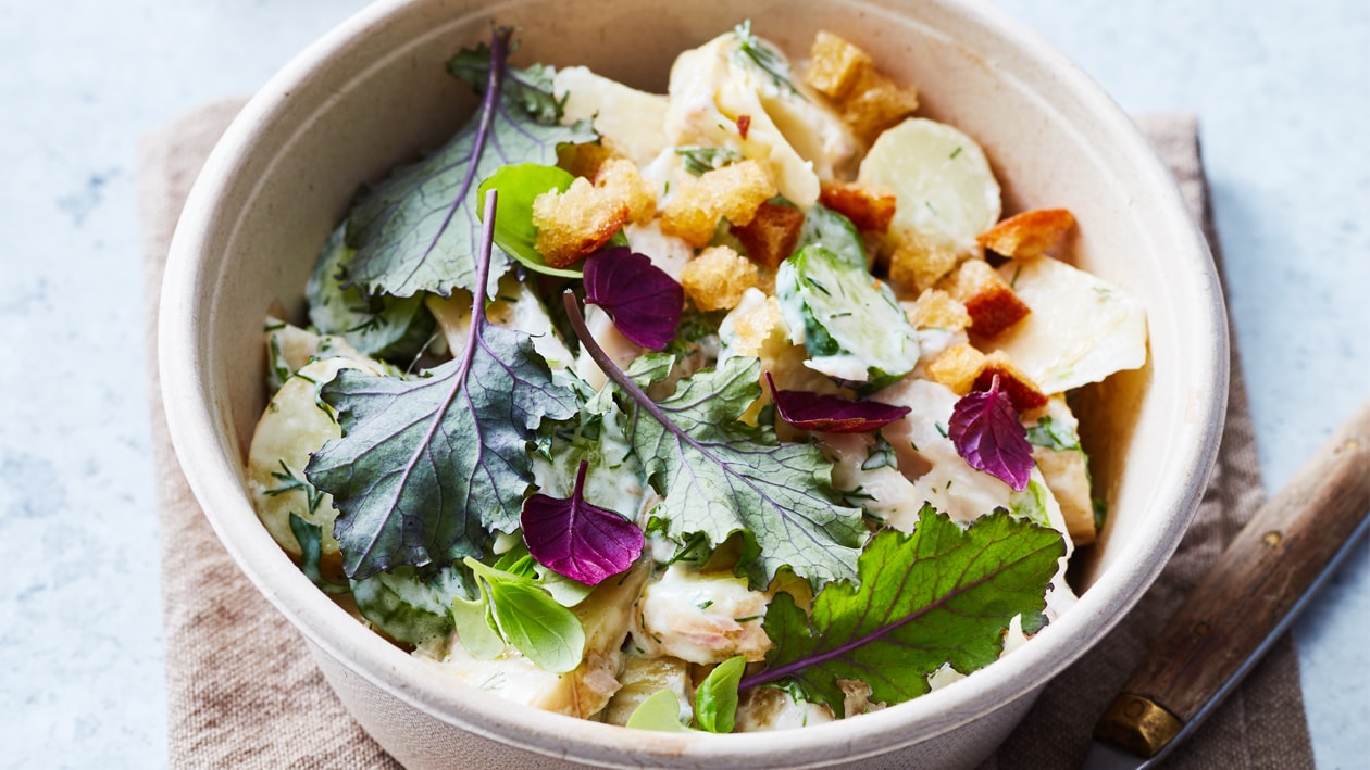 Aardappelsalade met gerookte forel, artisjok en verse kruiden (delivery) Aardappelsalade met gerookte forel, artisjok en verse kruiden (delivery)